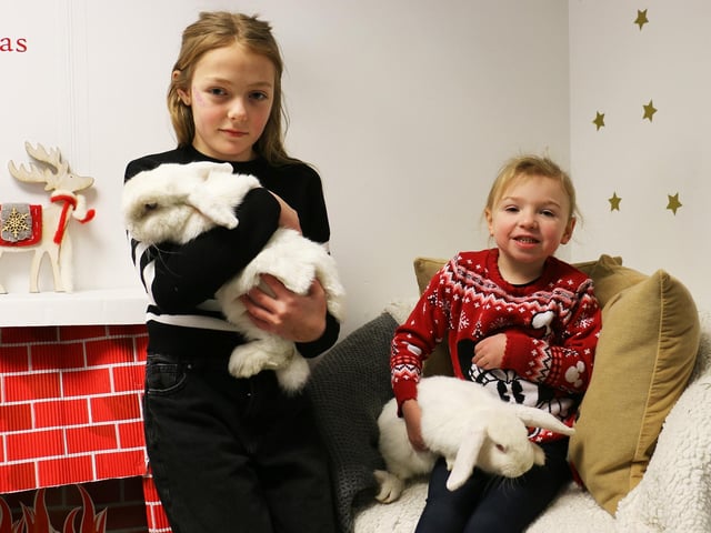 Tabby Hammond-Morris, aged nine, and Lacey Schofield, four, meet some rabbits.