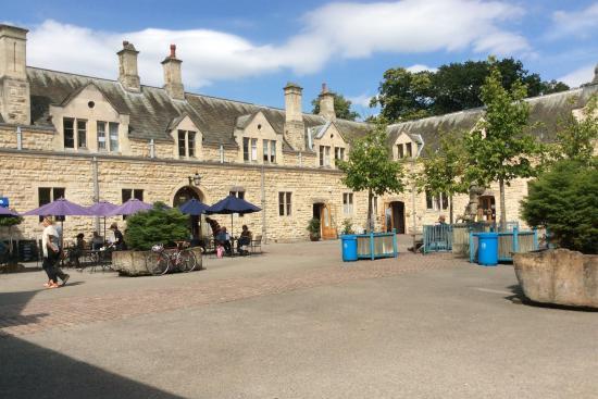 There can be few better settings in which to treat your mum this Mother's Day than the Courtyard Cafe at Thoresby Park. The venue is offering a fantastic lunch, made up of local fresh produce, on Sunday (12 midday to 2 pm), which can be followed by a walk through Thoresby's beautiful grounds.