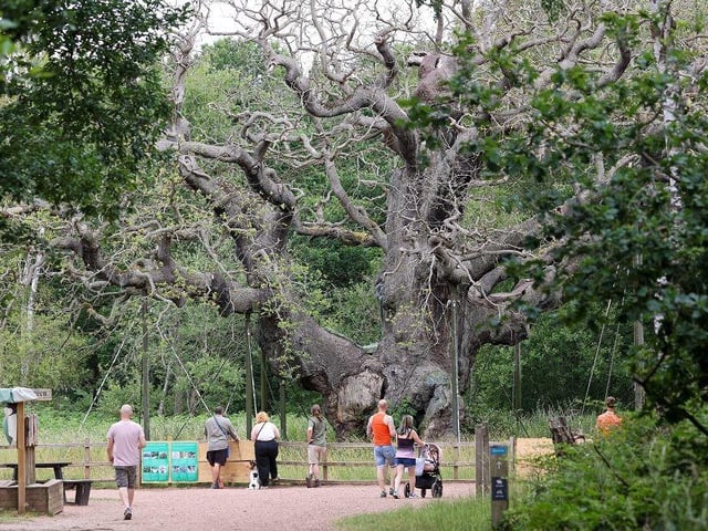 I believe that spending time in nature should be the top option on our list. It truly is the best way to learn, have fun, and take a break from screens. With many green spaces and parks nearby, we have several great options to enjoy during the summer holidays. In particular, be sure to check out the events happening at Sherwood Forest this August. Children can put down their tablets and computer games and live like an outlaw for a day, in the heart of Nottinghamshire.