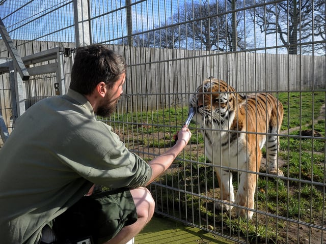 Yorkshire Wildlife Park has a range of fun filled activities taking place over the school holidays. Visit https://www.yorkshirewildlifepark.com/ to find out more.