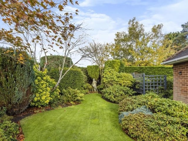 Another example of the sheer pride the current owners of the bungalow take in their garden. Everything is immaculately presented.