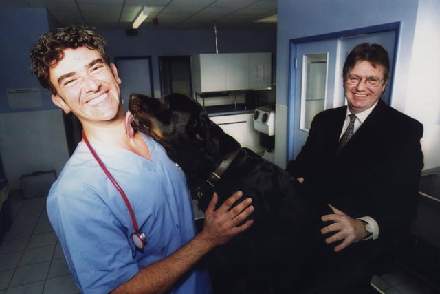 First animal hospital opened in 2000 thanks to Pension fund -  Entrepreneur and vet, Peter Eville, treats Baggins the 18month old Rottweiller in Sheffield New Animal Hospital and Andy Bowden, senior management at Lloyds TSB Commercial kept a safe distance.