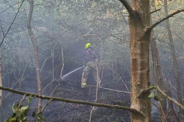 A firefighter in action in Thieves Wood.