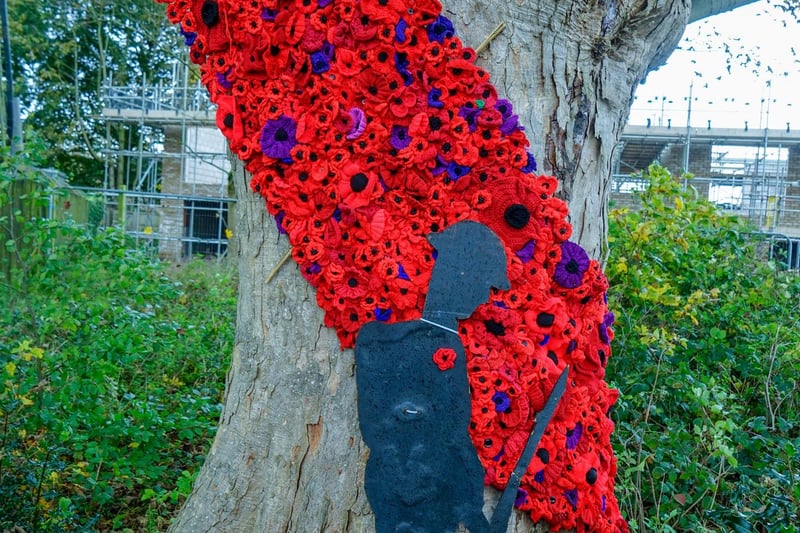 The remembrance display on the tree was very popular with residents last year, and has returned.