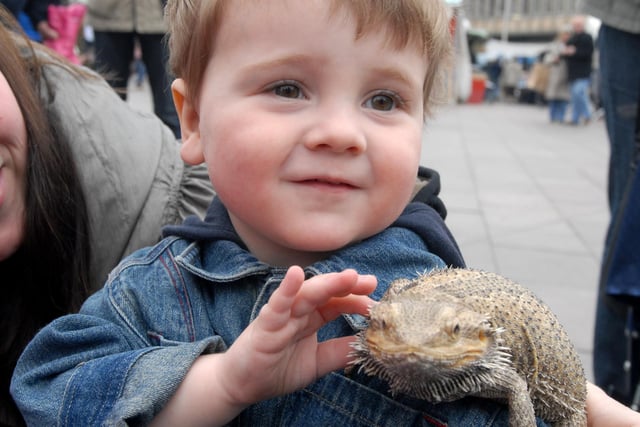 Young Aaron Scott at Mansfield market place with one of the animals from White Post Farm as part of an Easter fun day