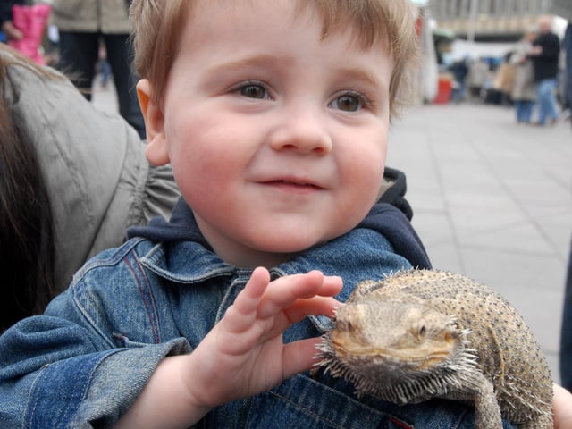 Young Aaron Scott at Mansfield market place with one of the animals from White Post Farm as part of an Easter fun day