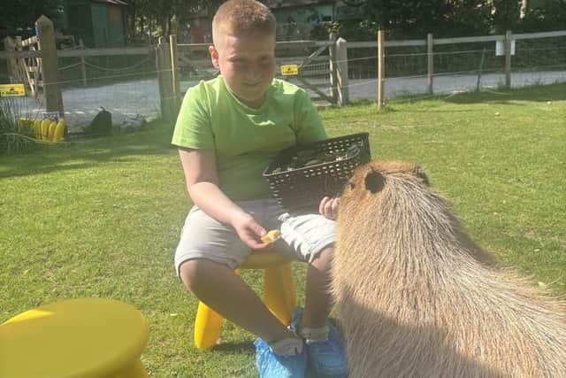 The new capybara experience is proving to be highly popular.