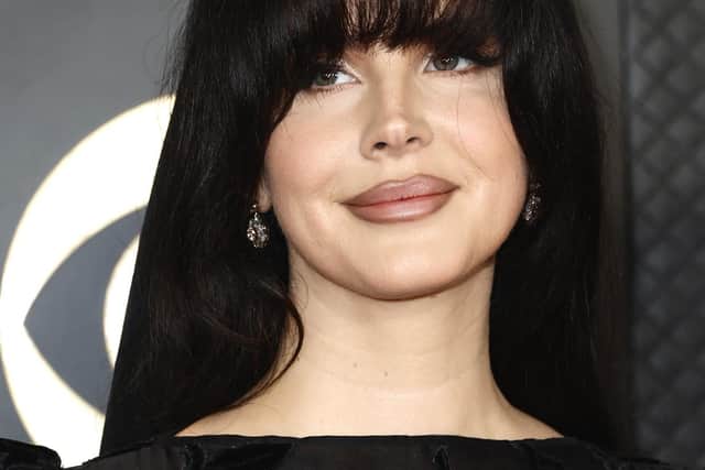 Lana Del Rey  (Photo by Frazer Harrison/Getty Images)