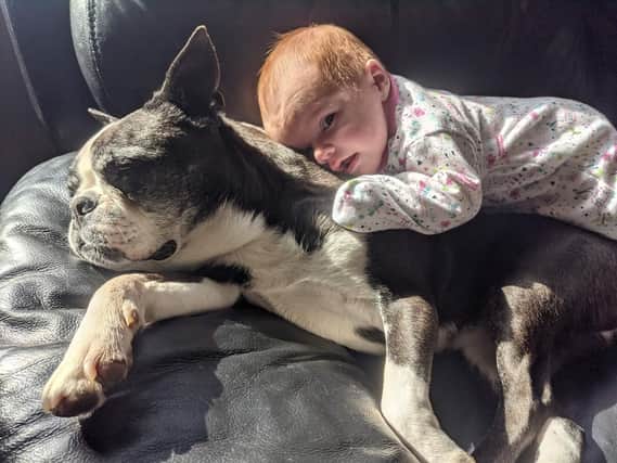 "She is the best dog going. She is so loving with the children in the house, and is always wanting cuddles."