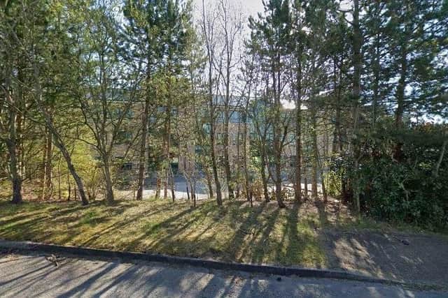 Glenair UK is hoping to take occupation of large office buildings behind these trees on Newstead Court at the Sherwood Business Park in Annesley. (PHOTO BY: Google Maps)