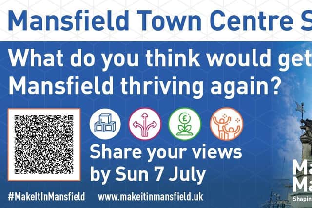 Mansfield Town Centre Survey