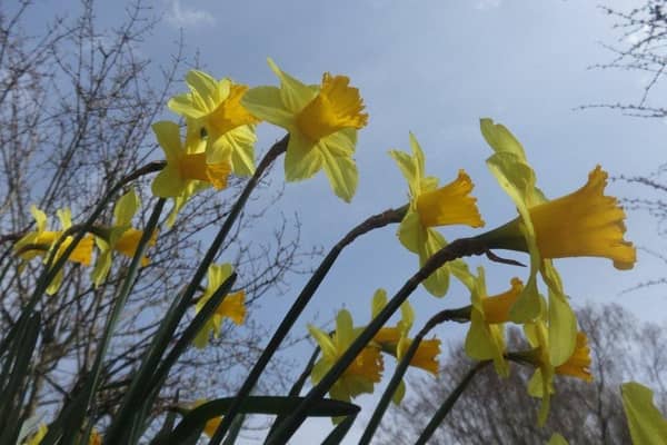 Spring is almost in the air, so let's get in the mood by enjoying a great weekend. Check out our guide below to 16 things to do and places to go across the region.