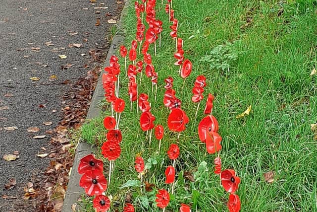 Roadside poppies will guide the way for the parade. Photo: Submitted