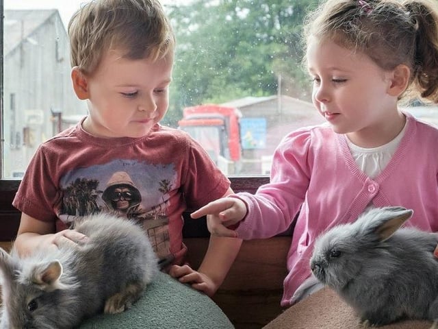 We all know that Robin Hood's Wheelgate Park at Farnsfield is full of action and adrenaline. But how about taking the kids to a quieter spot in the park, the Animal Adventure Zone, where they can handle pets such as rabbits and guinea pigs? Waiting to greet you are farm animals, such as pretty pigs and cute ponies, and also reptiles and otters.