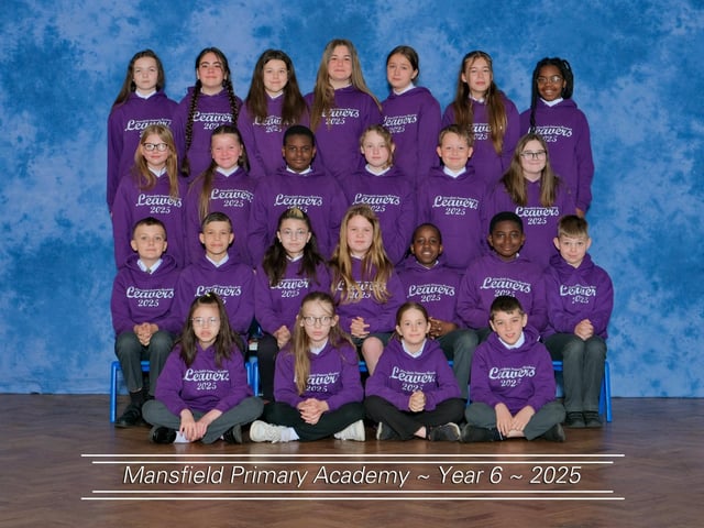 Mansfield Primary Academy 2025.
