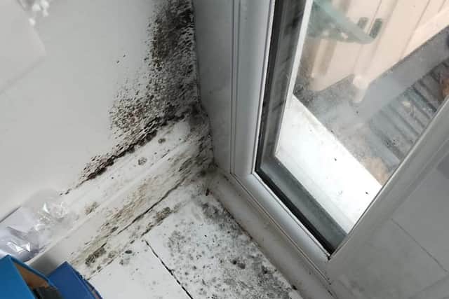 Mould around the windows in the home of Amylee Pincott,
