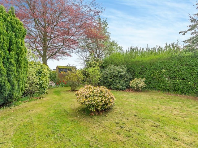 The rear garden features plants, shrubs and hedges. Beyond it, at the top end, is neighbouring paddock land.