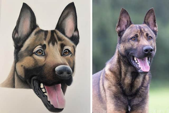 Portrait of PD Rambo (left) and original photograph (right).