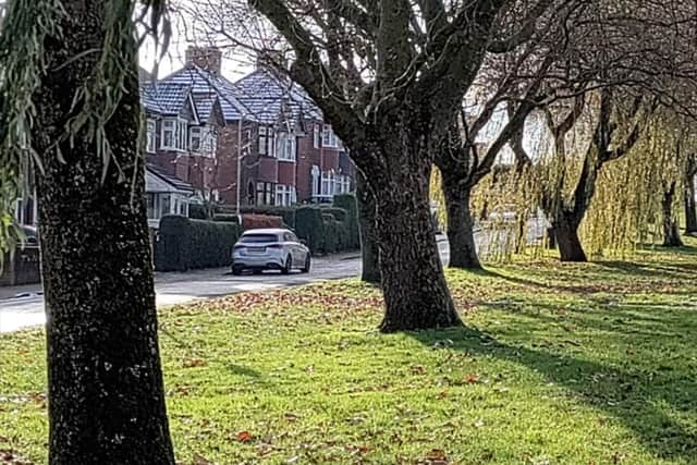 Mature trees on Kirkby Folly Road which residents and opposition councillors say will be ripped up under plans to build a new cycle lane