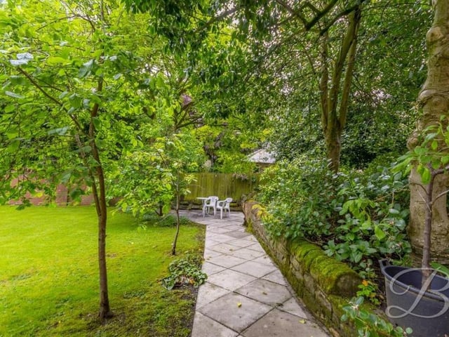 Do you fancy a summer stroll down this tree-lined path?