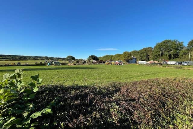 The proposed site of the lodges.