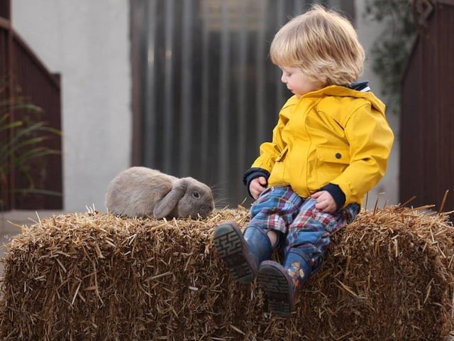 White Post Farm at Farnsfield is always a fun place to be, and this half-term week is no exception. Until (and including) Sunday, it is staging 'Animal Antics' sessions, whereby youngsters are challenged to hunt out as many animal facts as they can and fill in an activity sheet. They can enjoy breakfast with meerkats, a walkabout with wallabies and learn all about armadillos, rare-breed pigs, giant bunnies and spectacular birds of prey, among others.