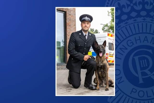 PD Tuco, an 18-month-old Dutch Herder, was recruited by Nottinghamshire Police