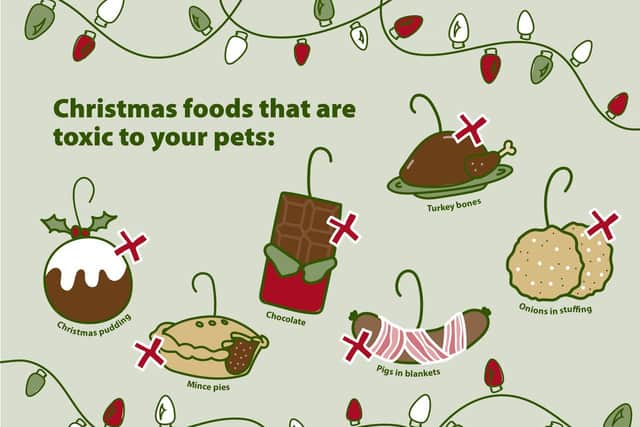 Vets4Pets which has practices in Mansfield, Sutton and Kirkby, has pulled together the ultimate Christmas pet online hub, with advice on everything from food to family socialising, to give owners peace of mind and help keep their pet companions safe and happy this festive season.