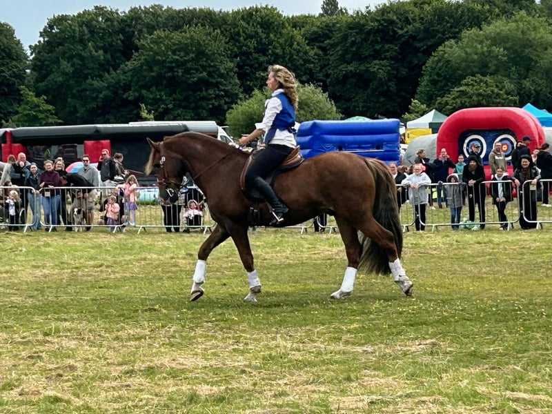 Residents enjoyed an afternoon of entertainment in the main arena, where performers amazed growing audiences.