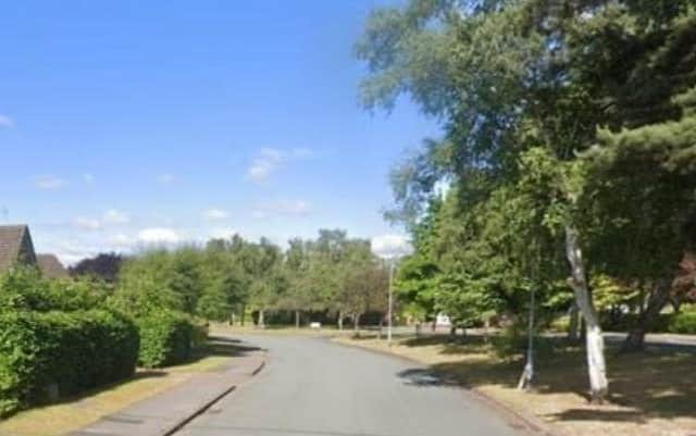 Picture shows the Avenue in Mansfield