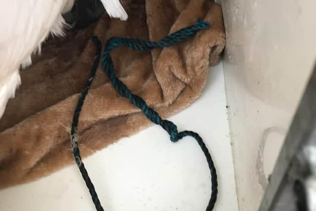 The twine wrapped around swan