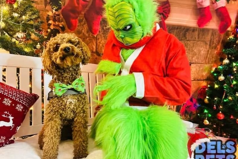 The Grinch has found a new friend.