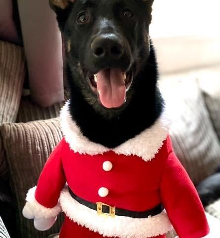 Shannon-Lee Shaw also shared this snap of 'Santa'. We love it.