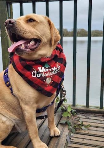 Barbara from Kirkby shared this adorable snap. How smart!