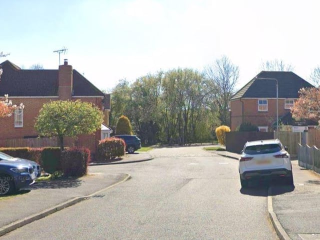 Houses on Chestnut Gardens had average price of £315,000 from five sales.