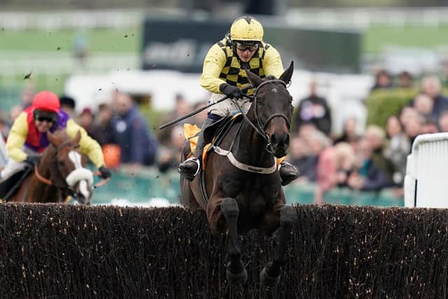 Al Boum Photo, ridden by Paul Townend, jumps the last fence en route to victory in the Magners Cheltenham Gold Cup last season. (PHOTO BY: Alan Crowhurst/Getty Images).