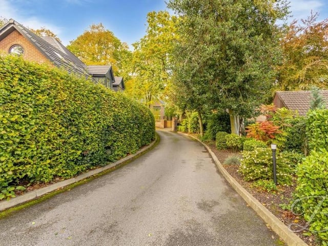 A look down the long and winding driveway from the gates to the house, lined by trees, shrubs and hedgerows.