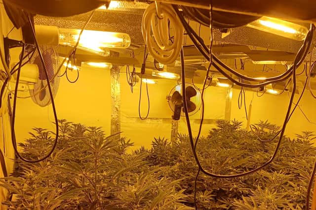 Officers from Mansfield South Neighbourhood Policing Team discovered a cannabis grow