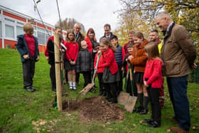 A Veolia Orchard is made up of five young fruit trees to bring nature and biodiversity to playgrounds, big or small.