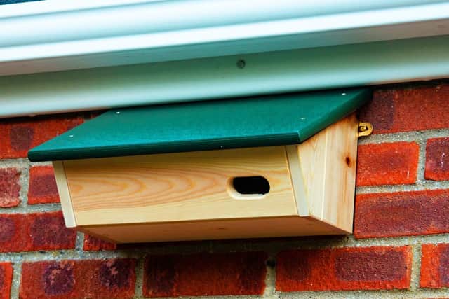 A nestbox for swifts on one of the homes.