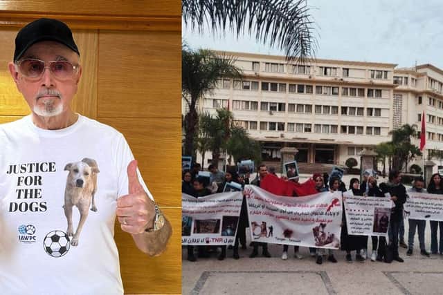 Peter Egan is hoping that Mansfield dog lovers will take part in the sponsored walk on Saturday - Animal News Agency