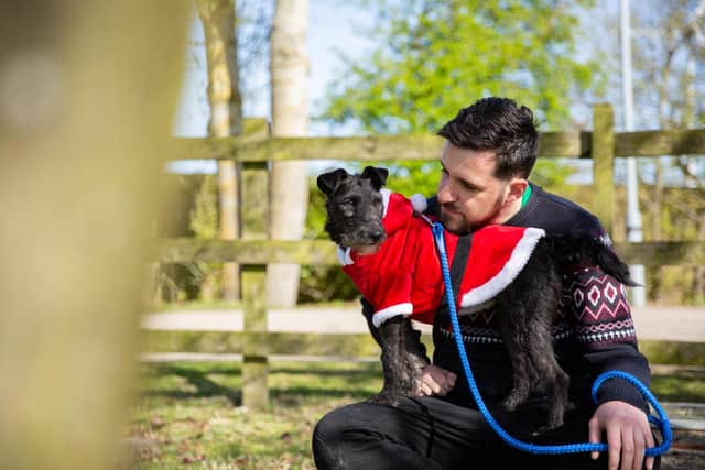 The dog dating show where people and dogs are matched and - hopefully - fall in love.