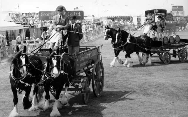 George Gale & Co's horse drawn wagon followed by Ringwood Brewery at the Southsea Show in August 1995. The News PP4099