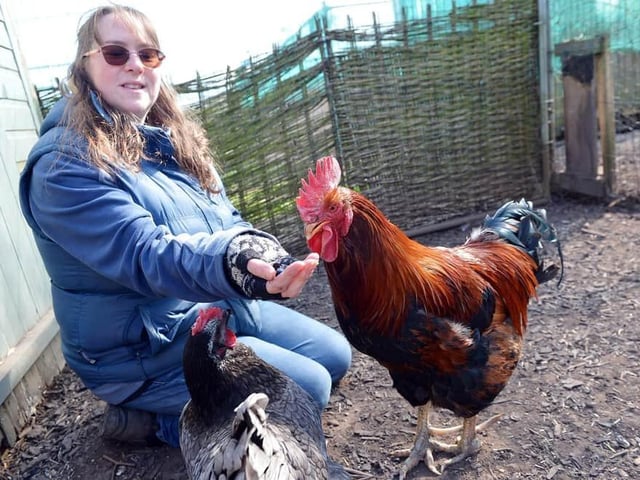 A group of allotment holders in Mansfield were left with ruffled feathers after claiming they had been banned by the council from keeping cockerels on their plots. https://www.chad.co.uk/lifestyle/outdoors/cock-a-doodle-boo-fury-over-cockerels-ban-at-mansfield-allotments-3192383