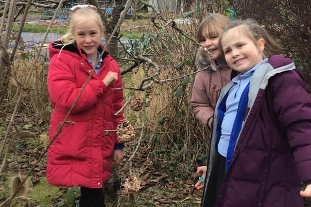 Year three pupils Poppy, Eleanor and Isla hanging bird feeders.