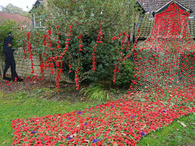 More poppies have been added to the growing display.