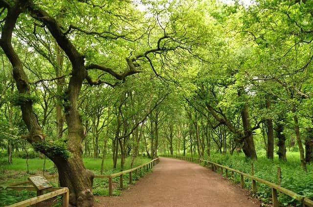 A fascinating walk through Sherwood Forest, taking in the site of St Edwins Chapel, Major Oak, and a number of other historical sites. Make sure to check out the visitor's centre on your way out as well. Rated: Moderate.