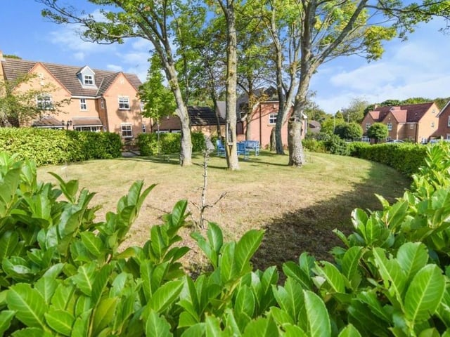 We couldn't leave without showing you The Paddock again. A front garden of your dreams.