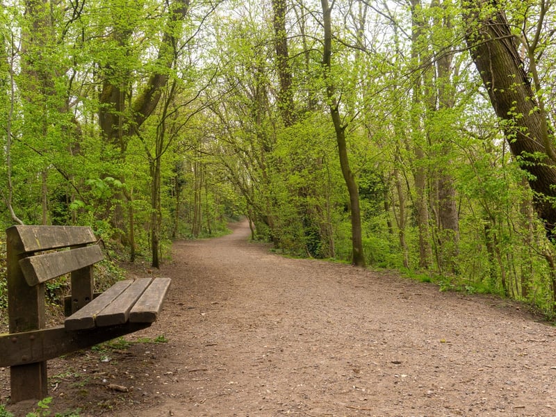 Portland Park has a cafe, ponds and some great scenery. It's the perfect place to enjoy a much-needed stroll in a tranquil setting.
