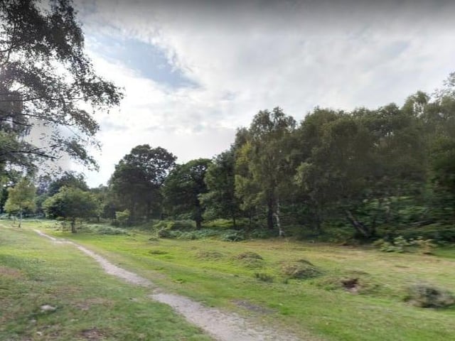 Of course, Mansfield is blessed with being on the doorstep of the magnificent Sherwood Forest.